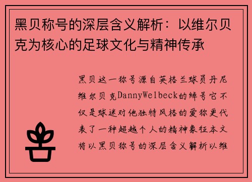 黑贝称号的深层含义解析：以维尔贝克为核心的足球文化与精神传承