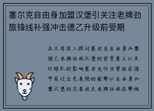 塞尔克自由身加盟汉堡引关注老牌劲旅锋线补强冲击德乙升级前受期